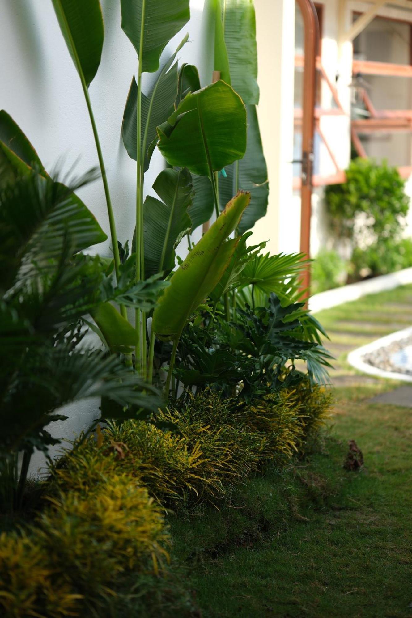 Hotel Mon House Phan Thiet Exterior foto